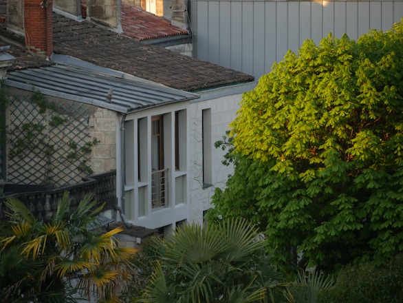 A residential area features a stone building with a metal roof and trellis, adjacent to lush, green trees. The sunlight casts a warm glow on the greenery, suggesting an evening setting.