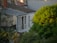 A residential area features a stone building with a metal roof and trellis, adjacent to lush, green trees. The sunlight casts a warm glow on the greenery, suggesting an evening setting.