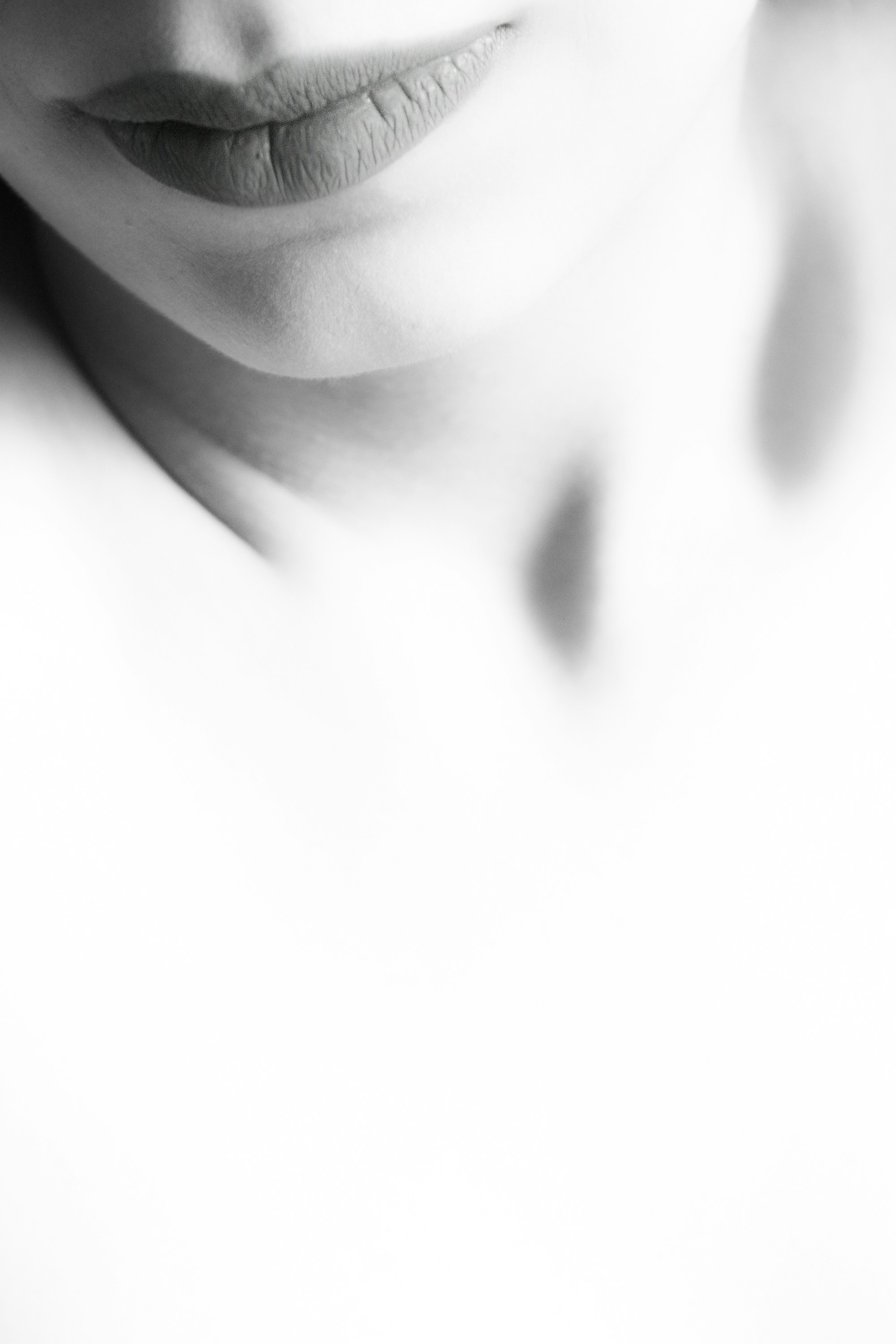 Free Unsplash photo from Arsalan Farzi