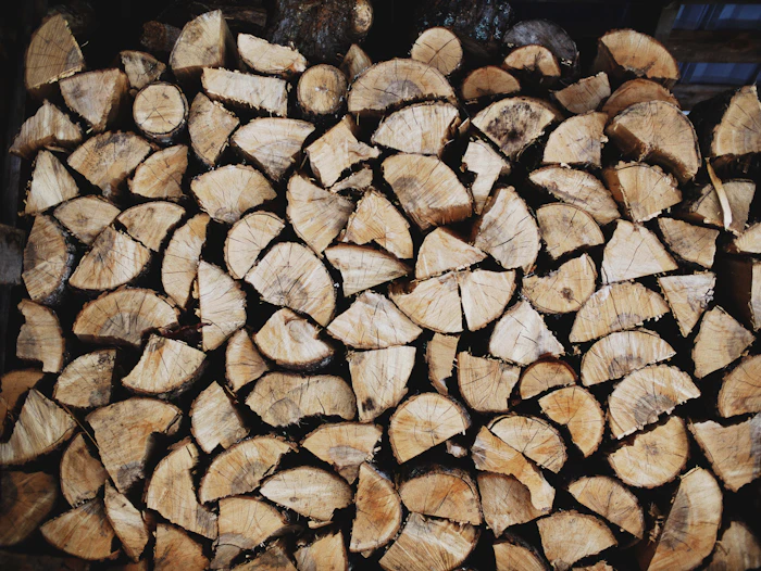 Holzlager im Wald