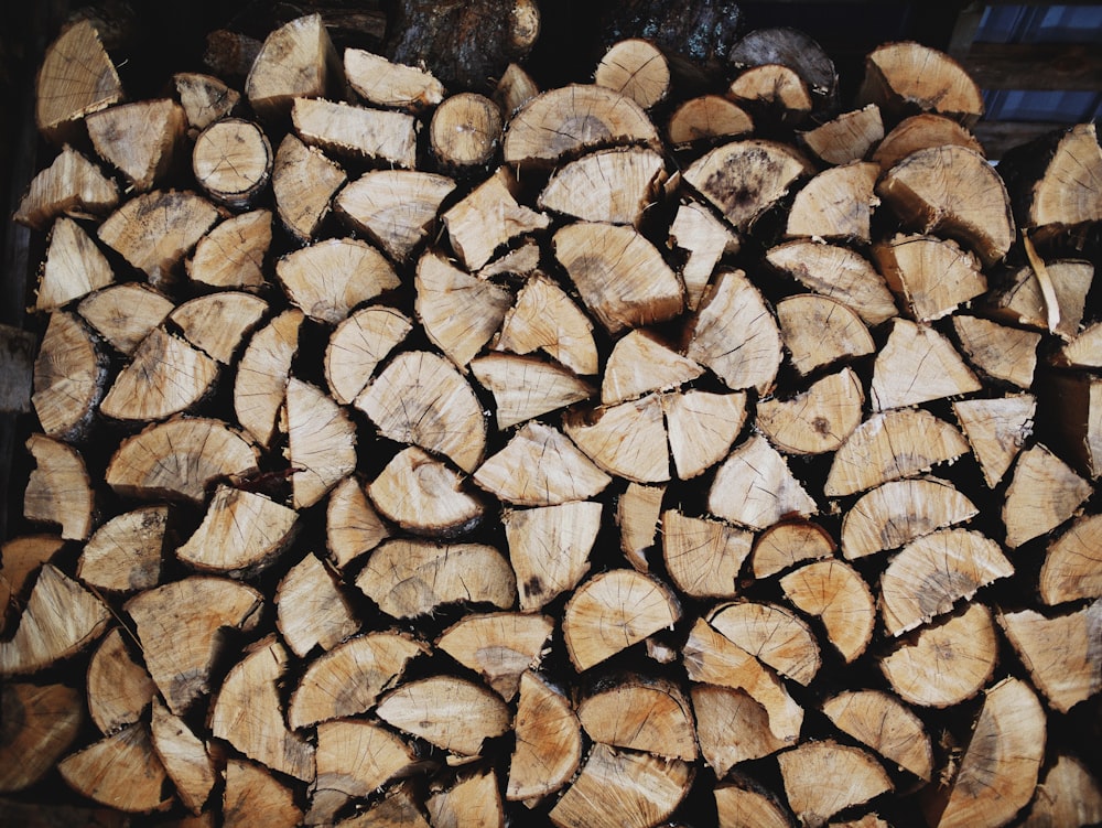 pile of brown log