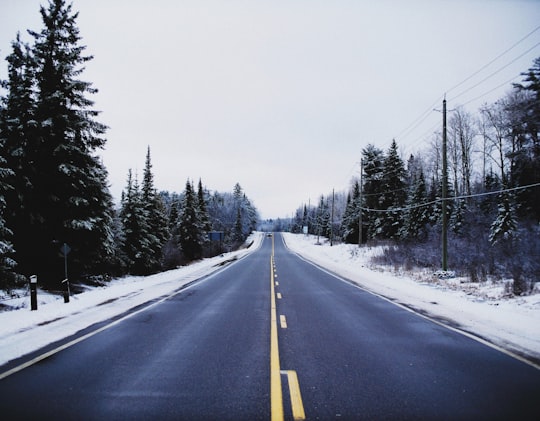 snow covered trees beside road during daytime in Bancroft Canada