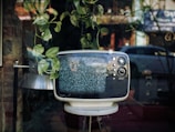 A vintage television with a static-filled screen sits on a small round table. It is displayed in a window surrounded by hanging green plants, with a reflection of a street scene in the glass.