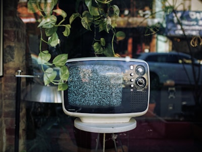 A vintage television with a static-filled screen sits on a small round table. It is displayed in a window surrounded by hanging green plants, with a reflection of a street scene in the glass.