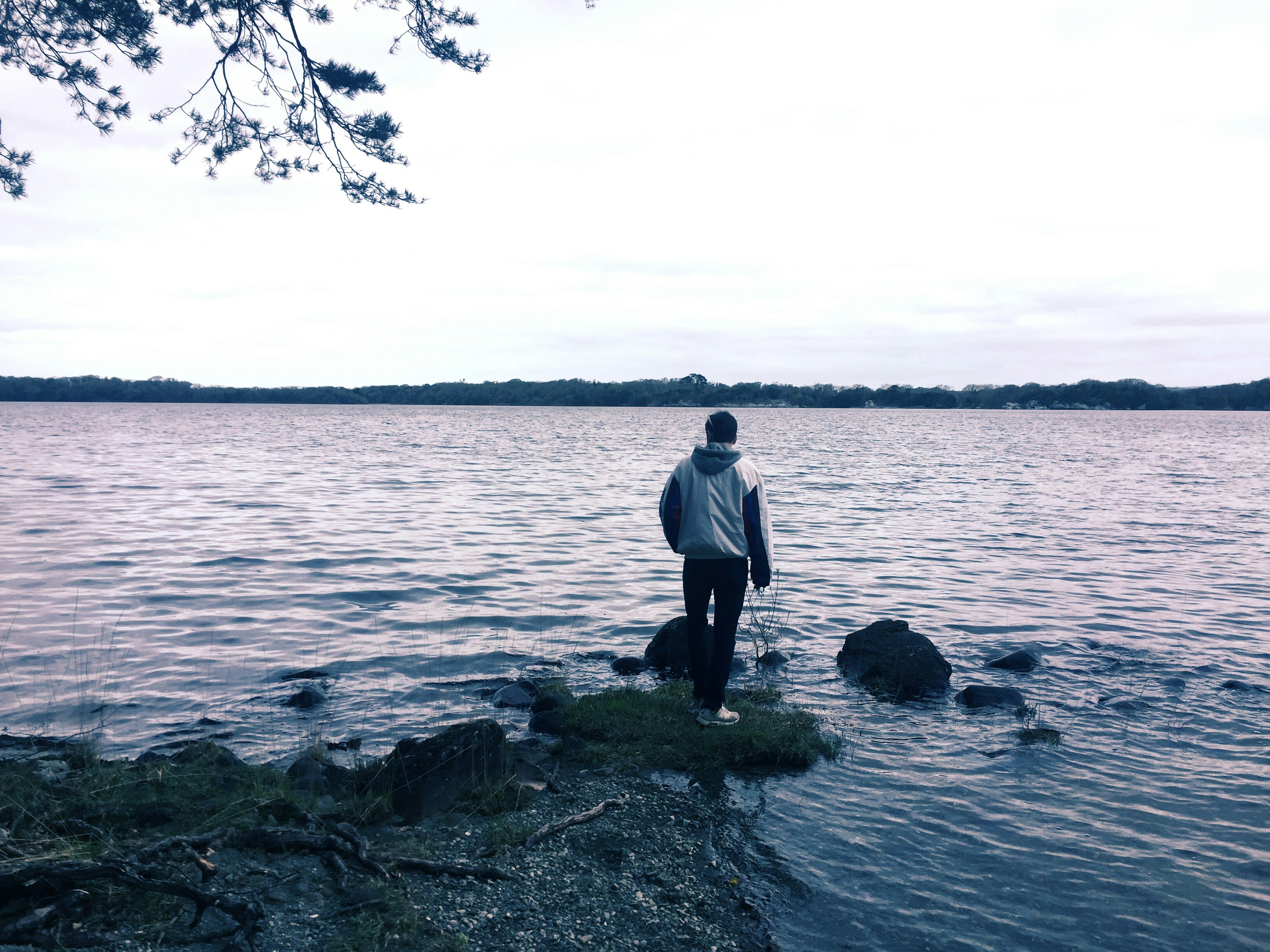 Free Unsplash photo from Camille Camellya Danneels