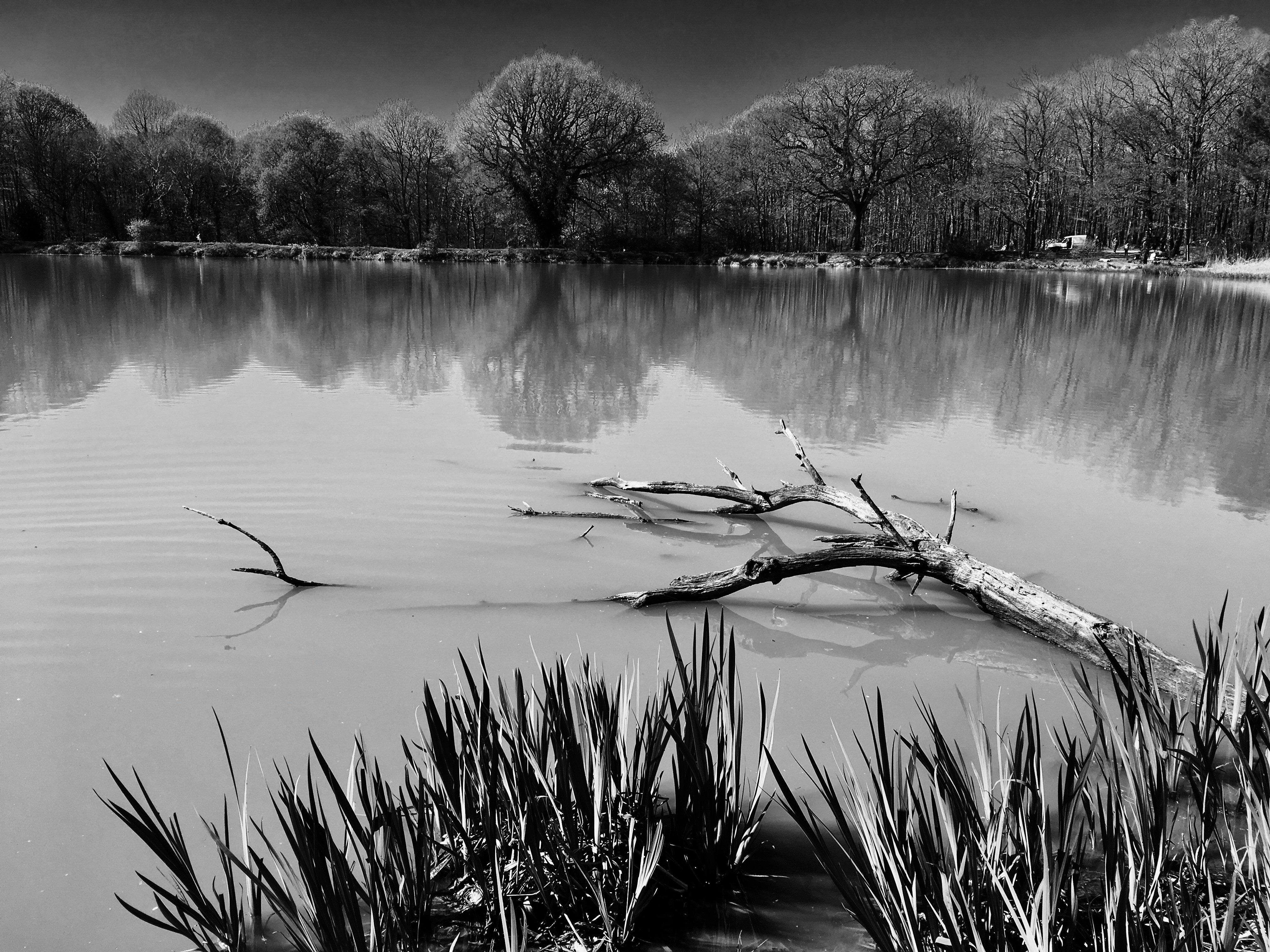 Free Unsplash photo from Benjamin Bail