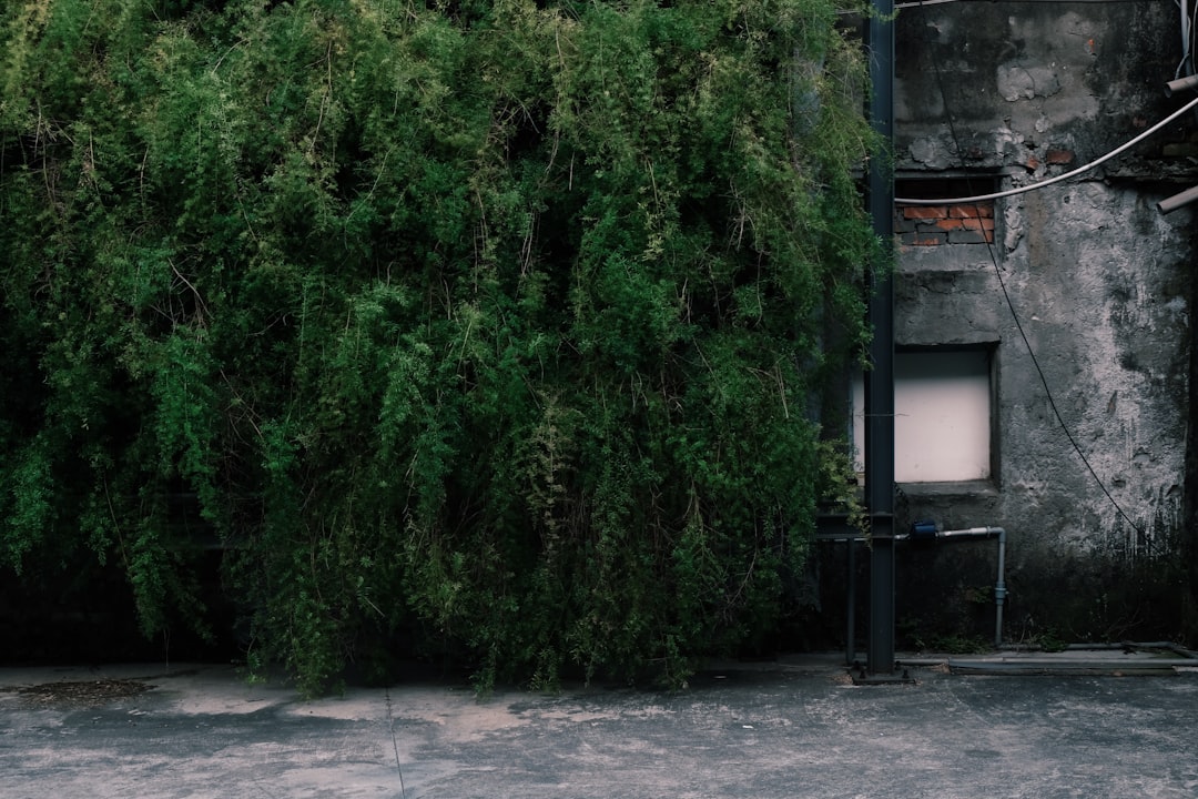 gray concrete building near green bushes