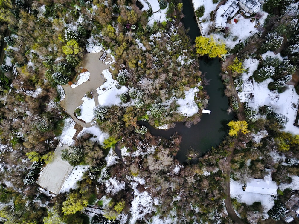 Vista aérea da vila cercada de árvores