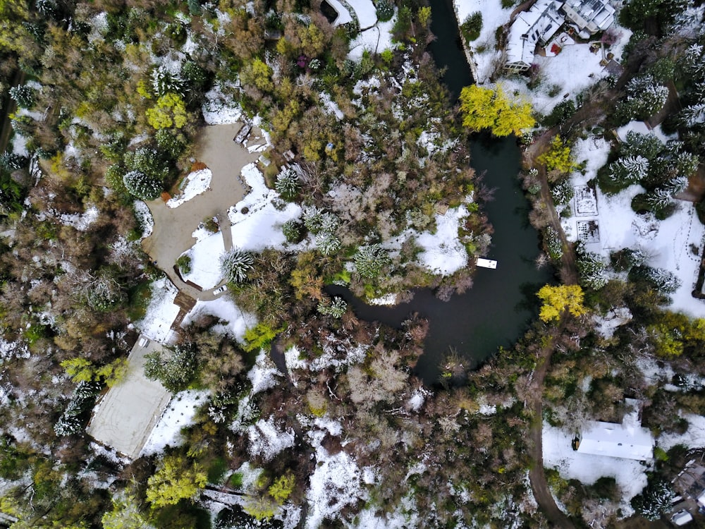 木々に囲まれた村の空撮