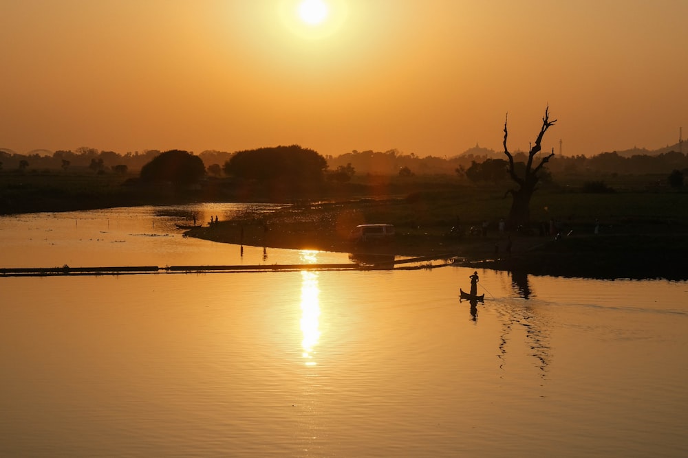 green grasses near body of water during sunset