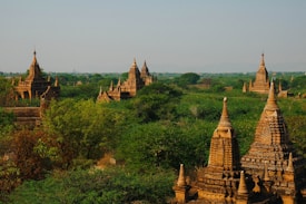 A landscape featuring a dense forest with multiple ancient temples or pagodas with pointed spires scattered throughout. The structures are made of brick and are contrasted against the lush greenery and open sky.