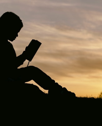 silhouette of child sitting behind tree during sunset