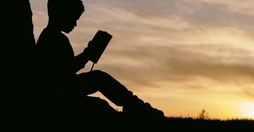 silhouette of child sitting behind tree during sunset