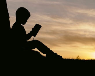 silhouette of child sitting behind tree during sunset