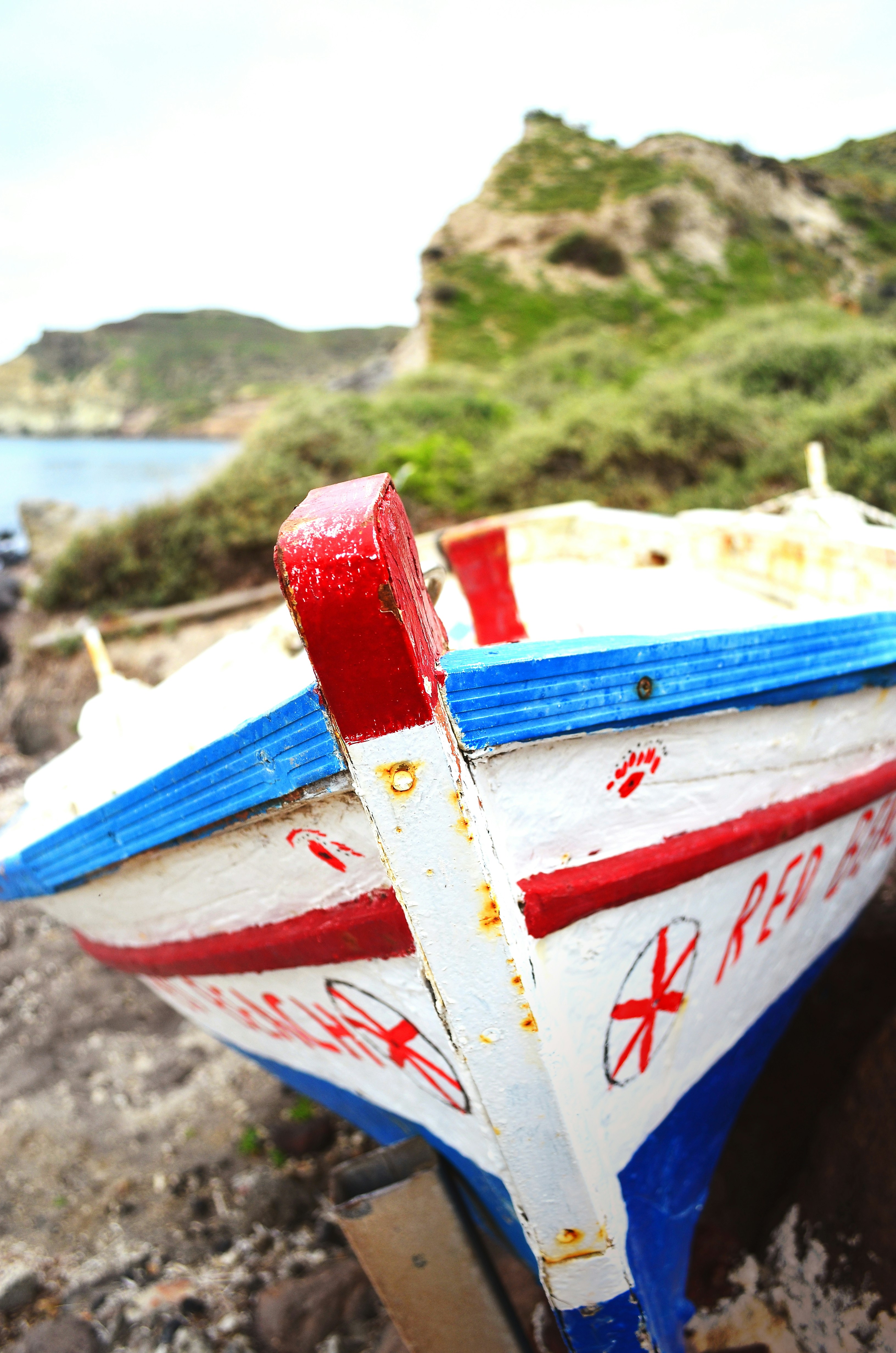 Free Unsplash photo from Rosina Henninger