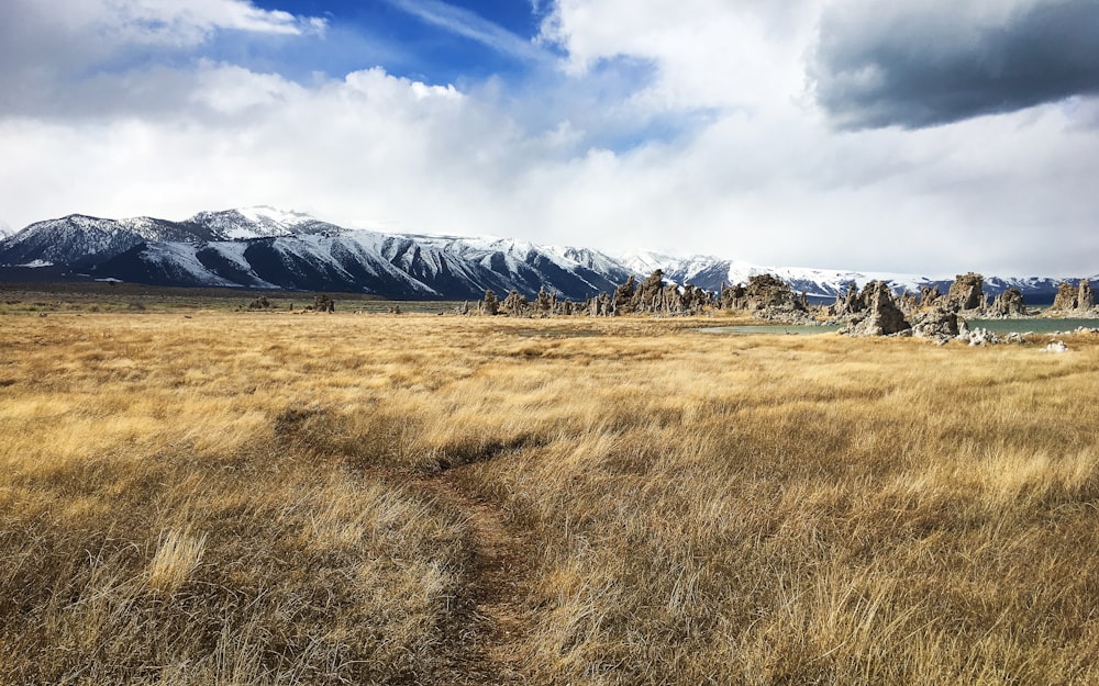 brown grass field near snow covered mountain under blue and white cloudy sky during daytime