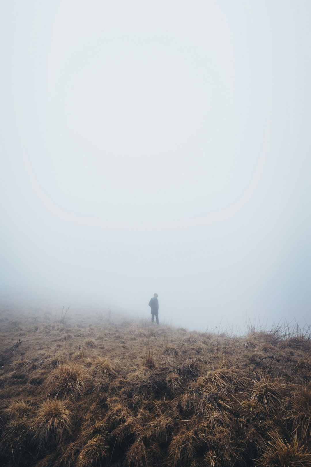 person standing grass field during cloudy sky