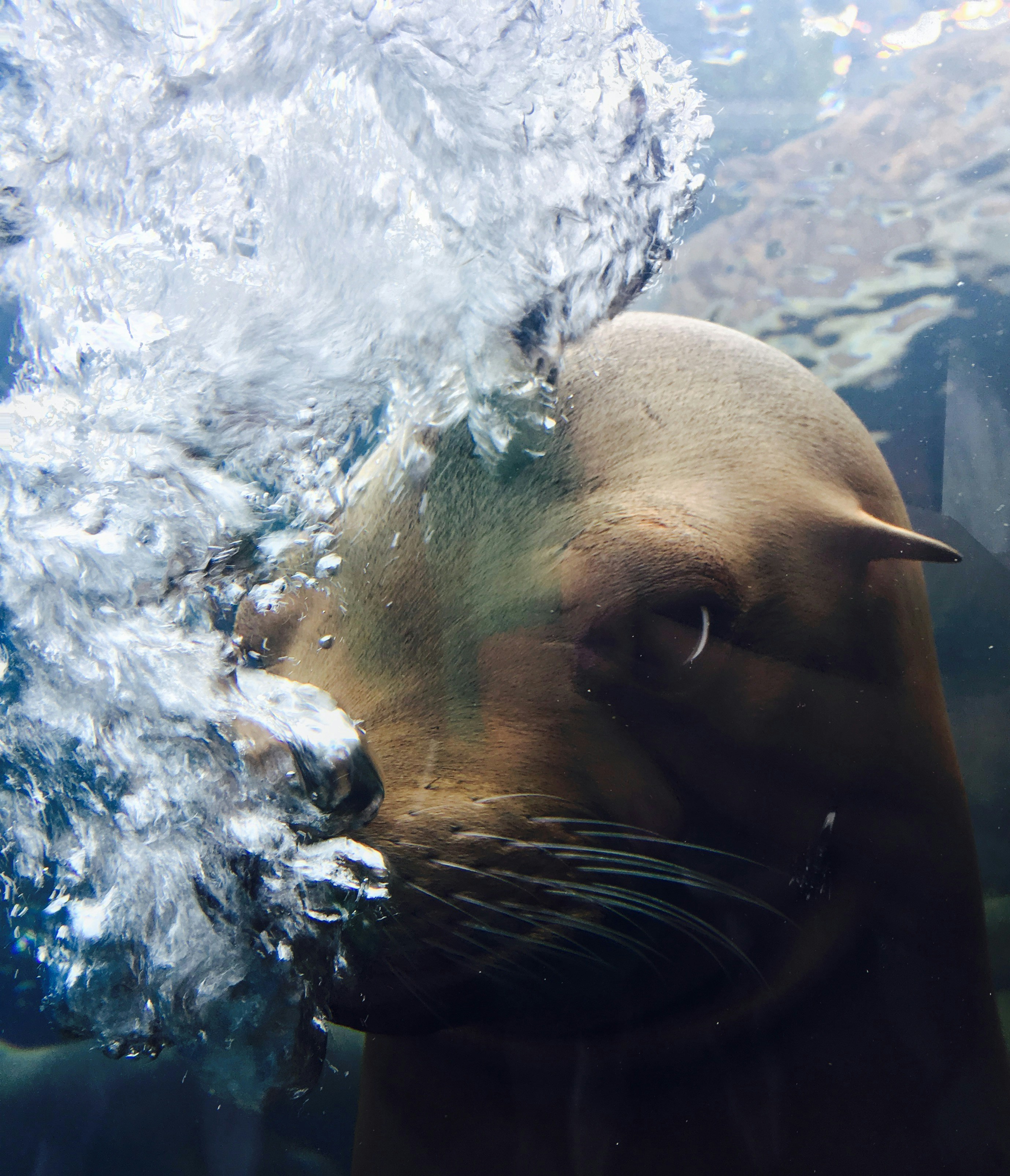 Free Unsplash photo from Rosalind  Wilson