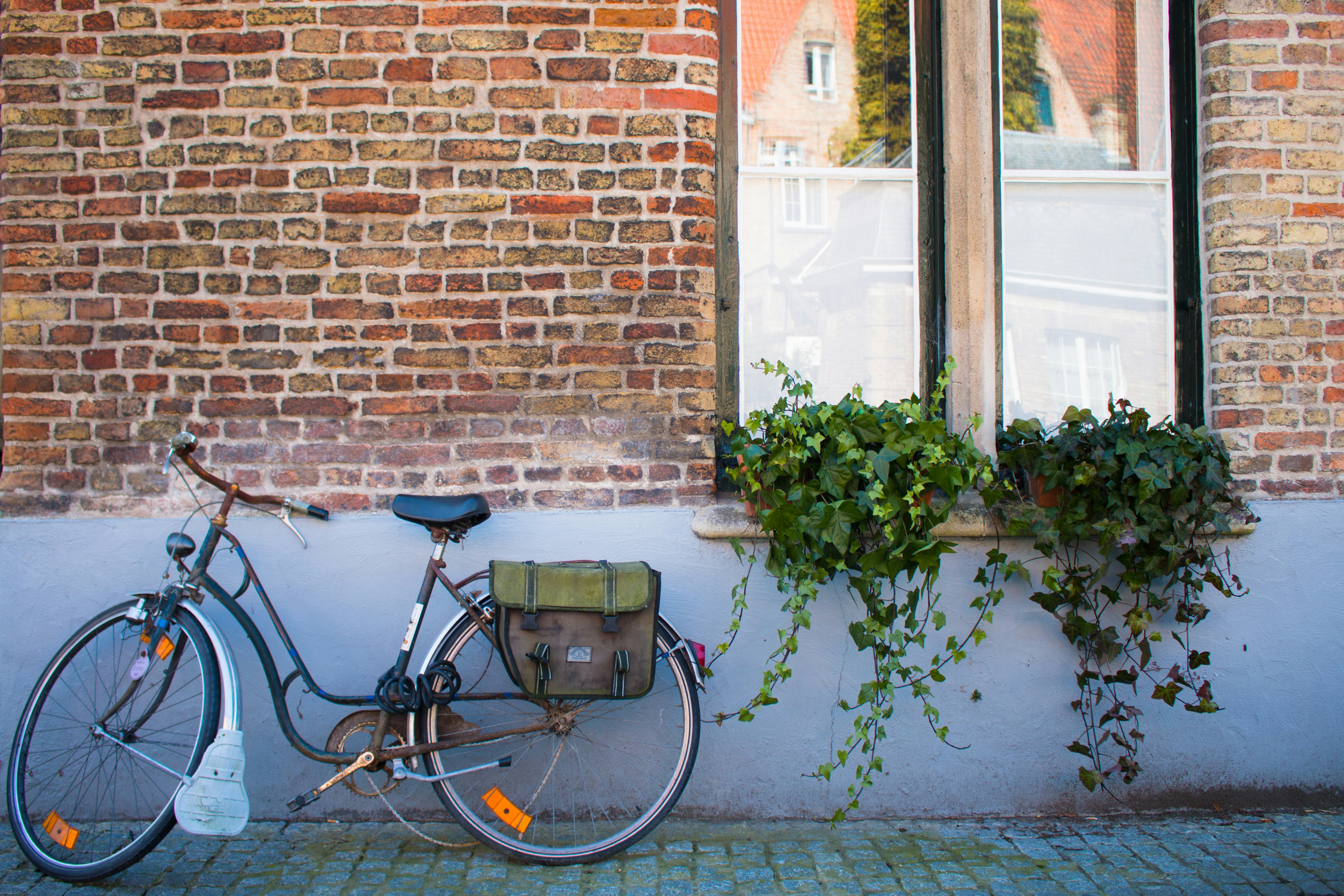 Free Unsplash photo from Jesus Montes