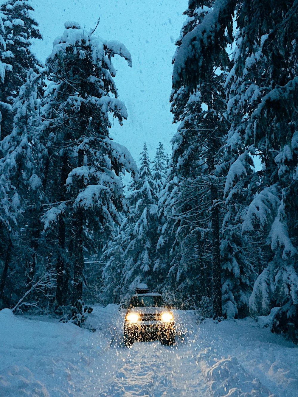 um carro dirigindo através de uma floresta coberta de neve