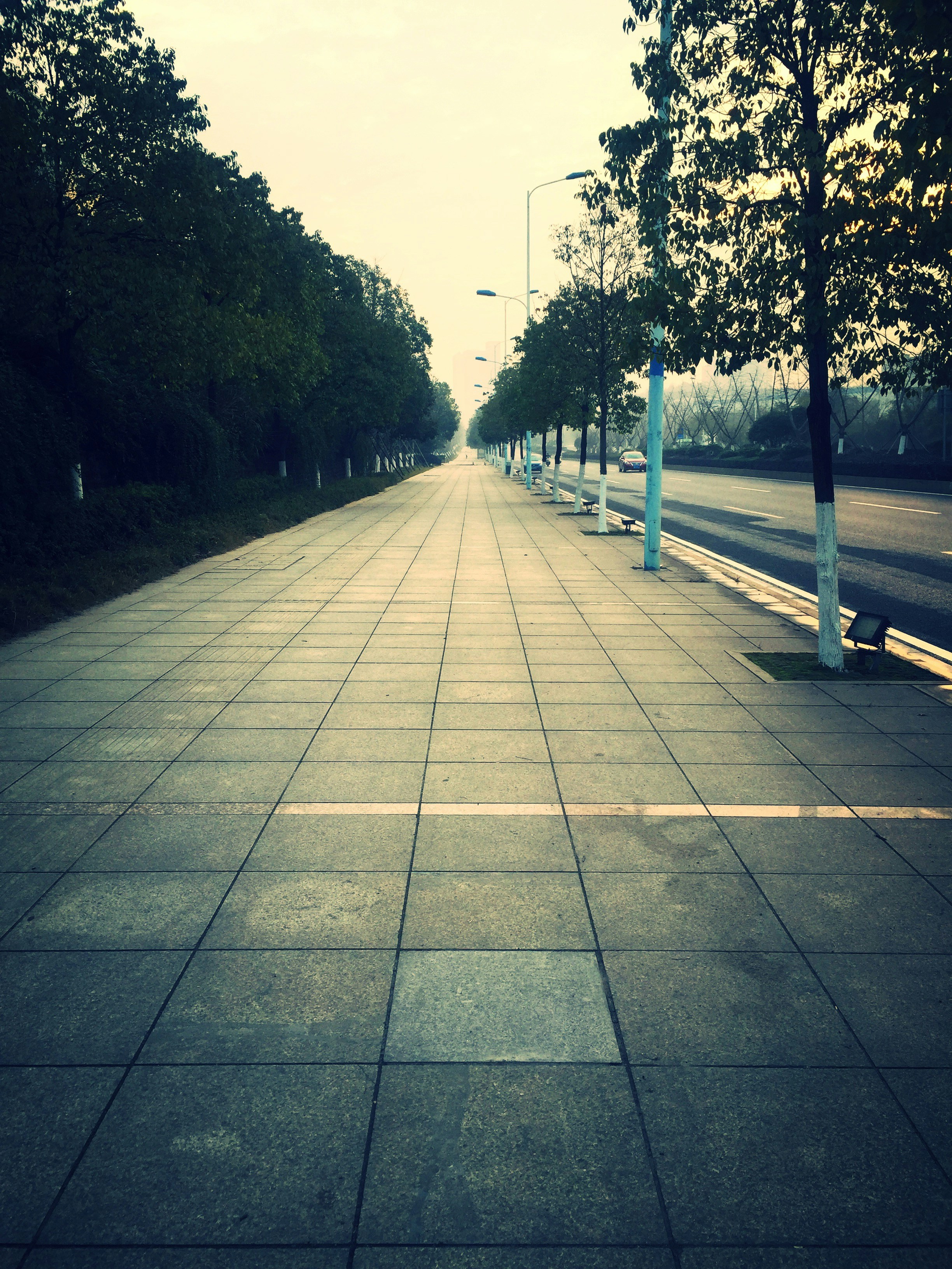 Free Unsplash photo from 菲菲 张