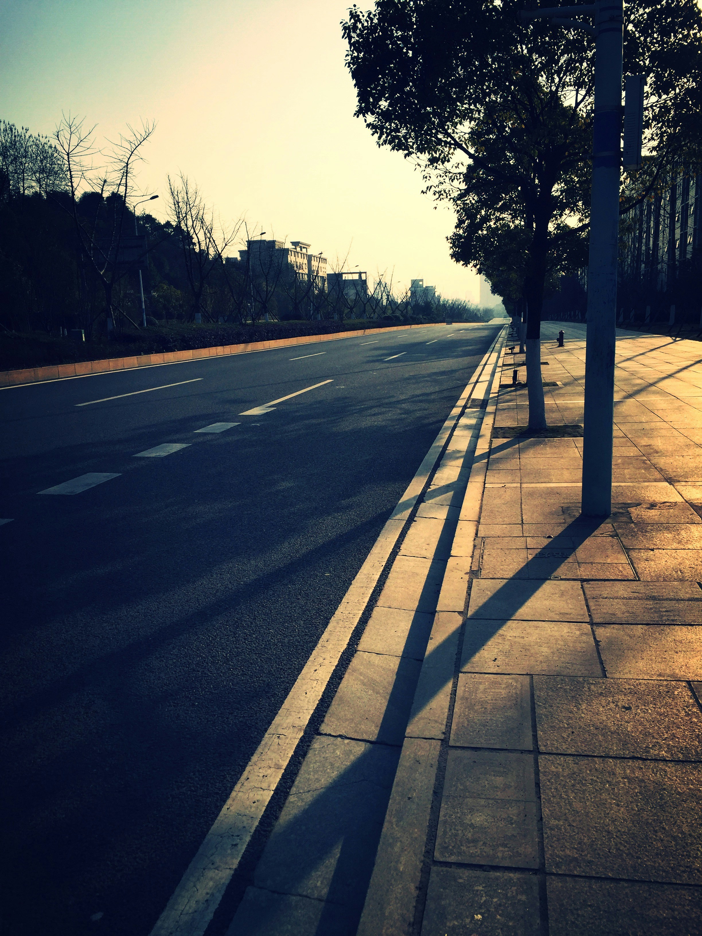 Free Unsplash photo from 菲菲 张