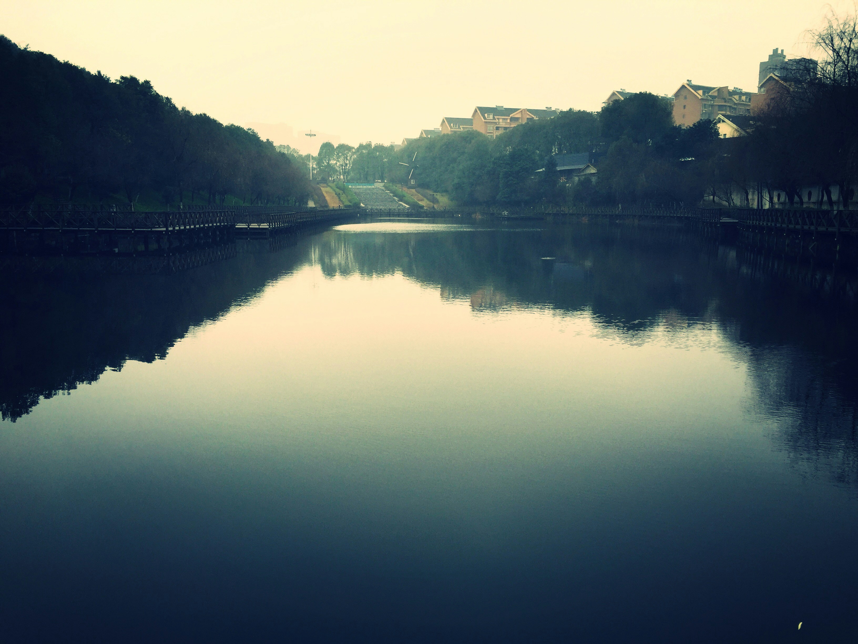 Free Unsplash photo from 菲菲 张