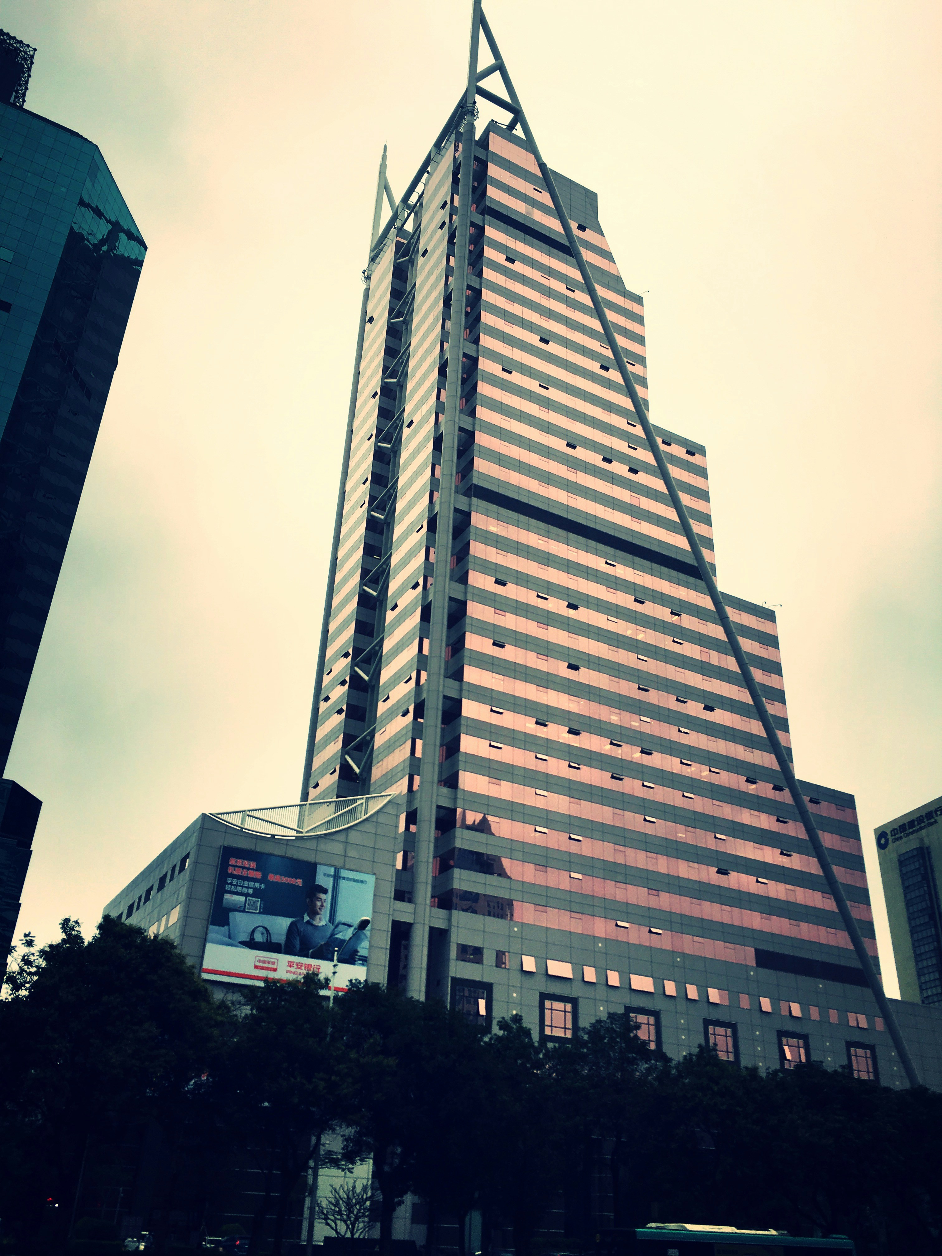 Free Unsplash photo from 菲菲 张