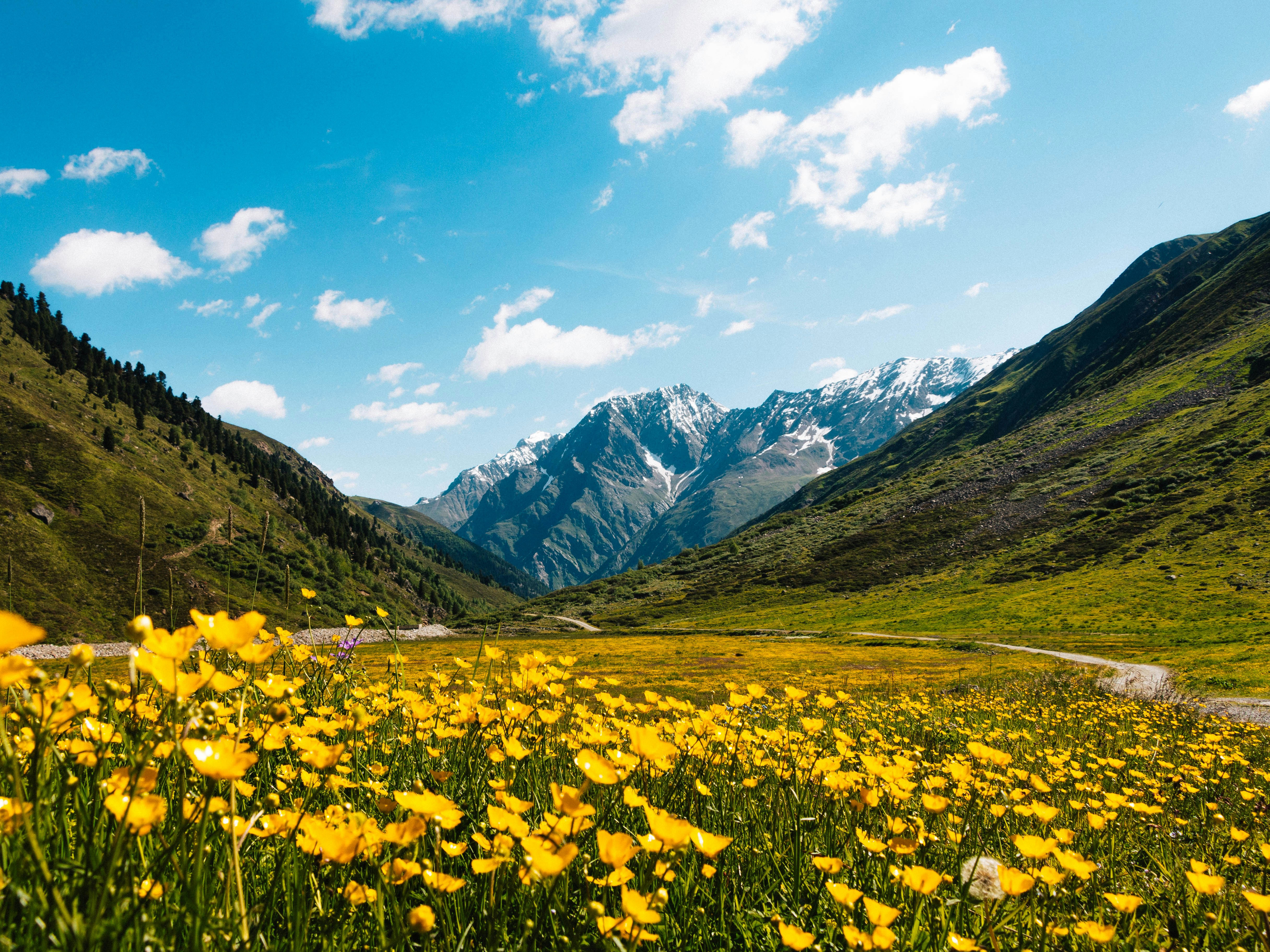 Free Unsplash photo from Idan Arad