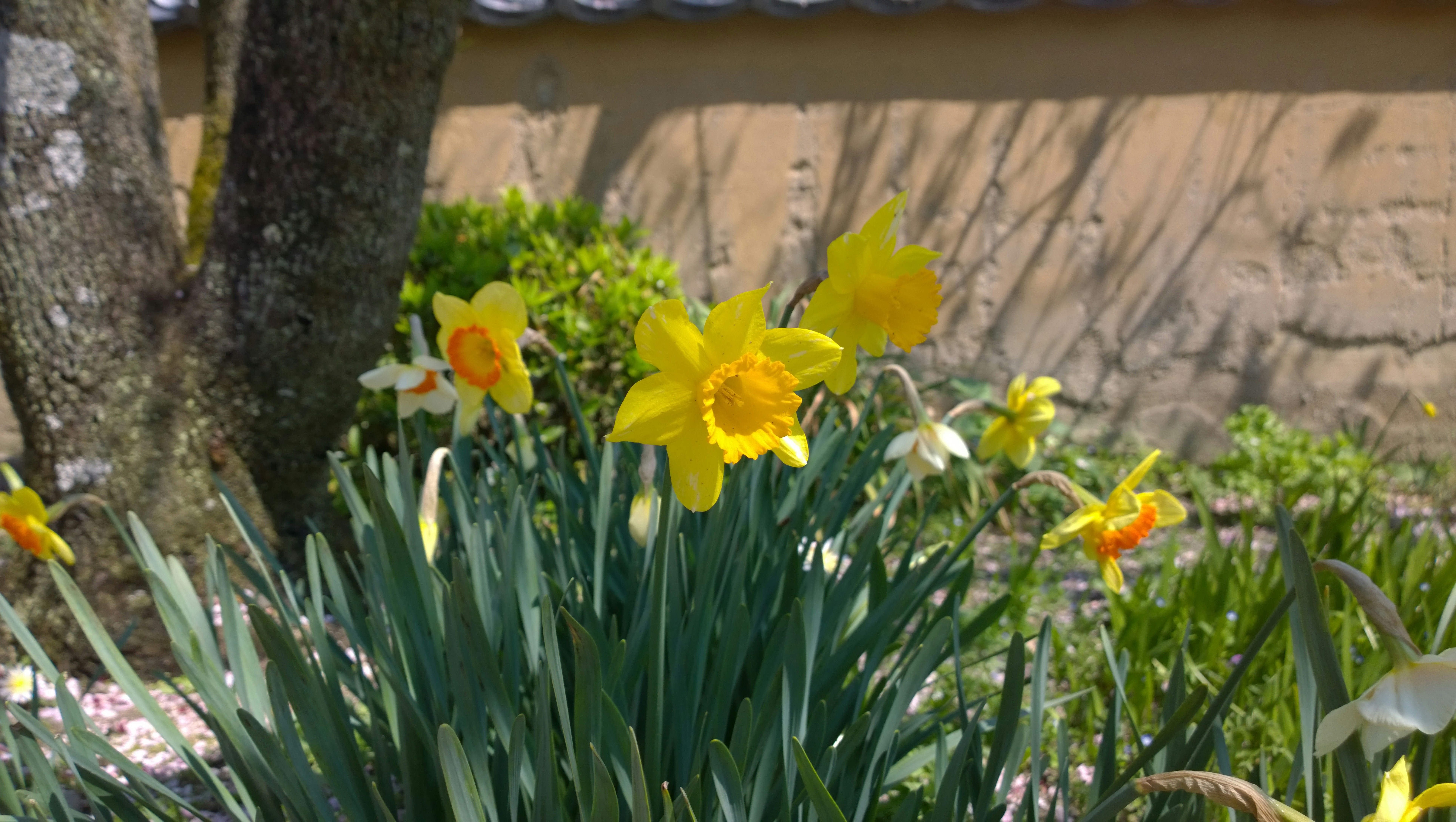 Free Unsplash photo from Dwayne McFee