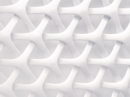 white and gray optical illusion