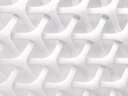 white and gray optical illusion
