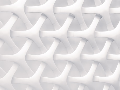 white and gray optical illusion