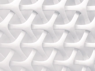 white and gray optical illusion