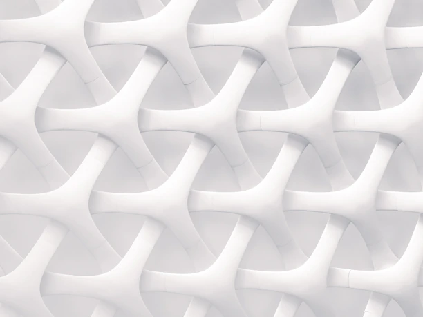 white and gray optical illusion
