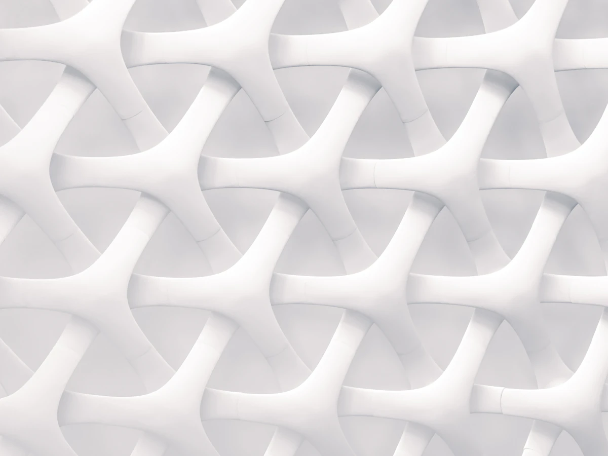 Salas em destaque o dia inteiro