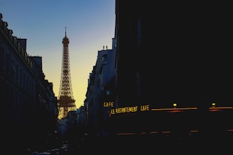 Close-up of a t-shirt print showing the Eiffel Tower at dusk.