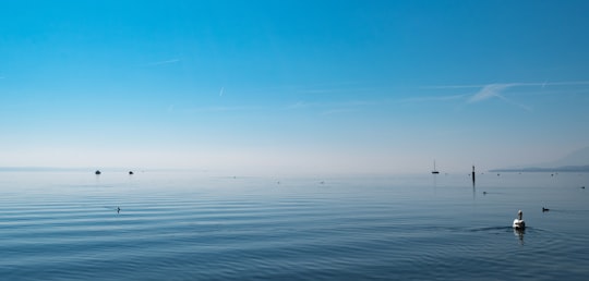 body of water under blue sky in Neuchâtel Switzerland