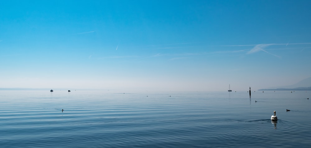 body of water under blue sky