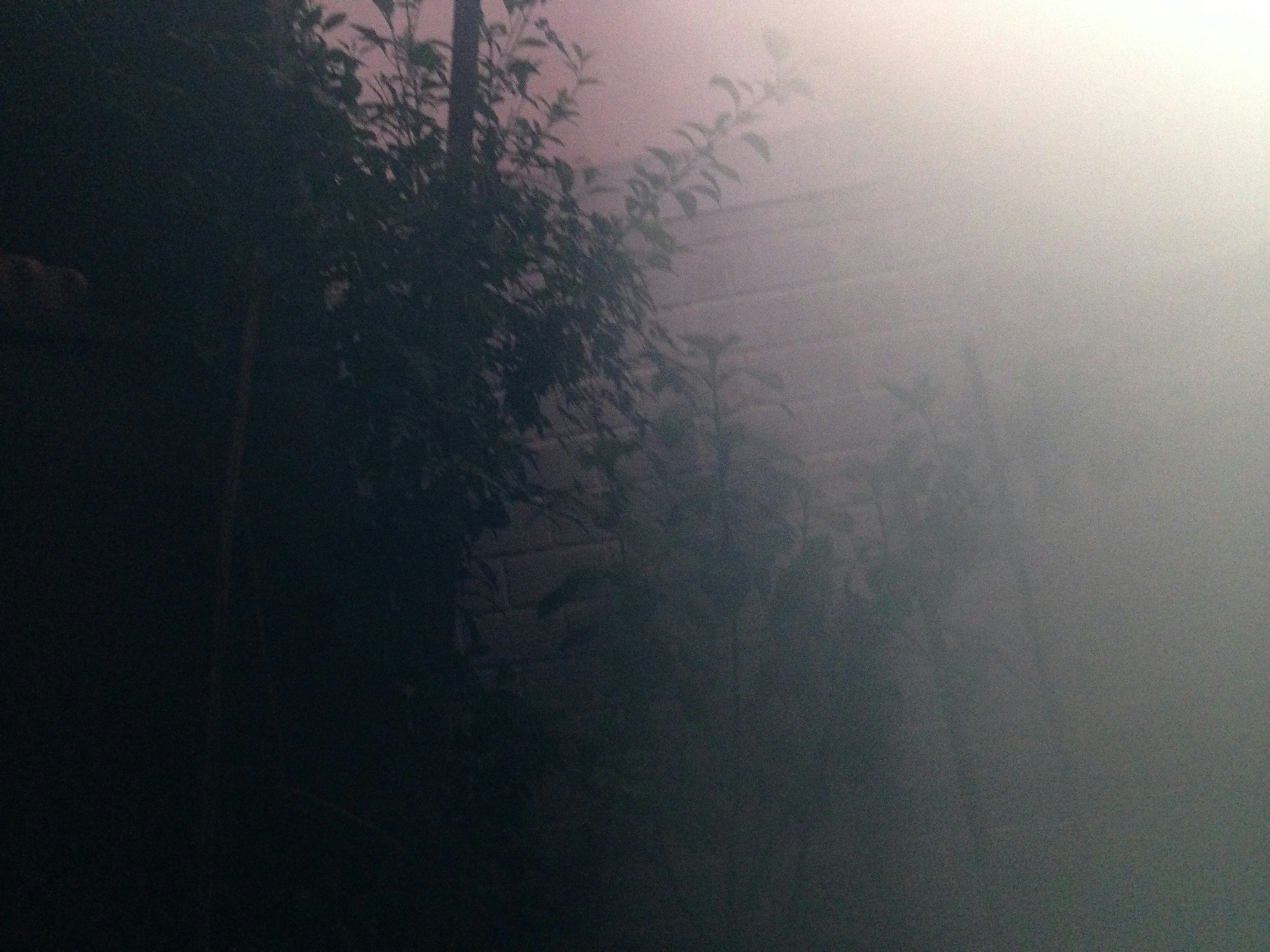 Free Unsplash photo from Felipe Tuoni