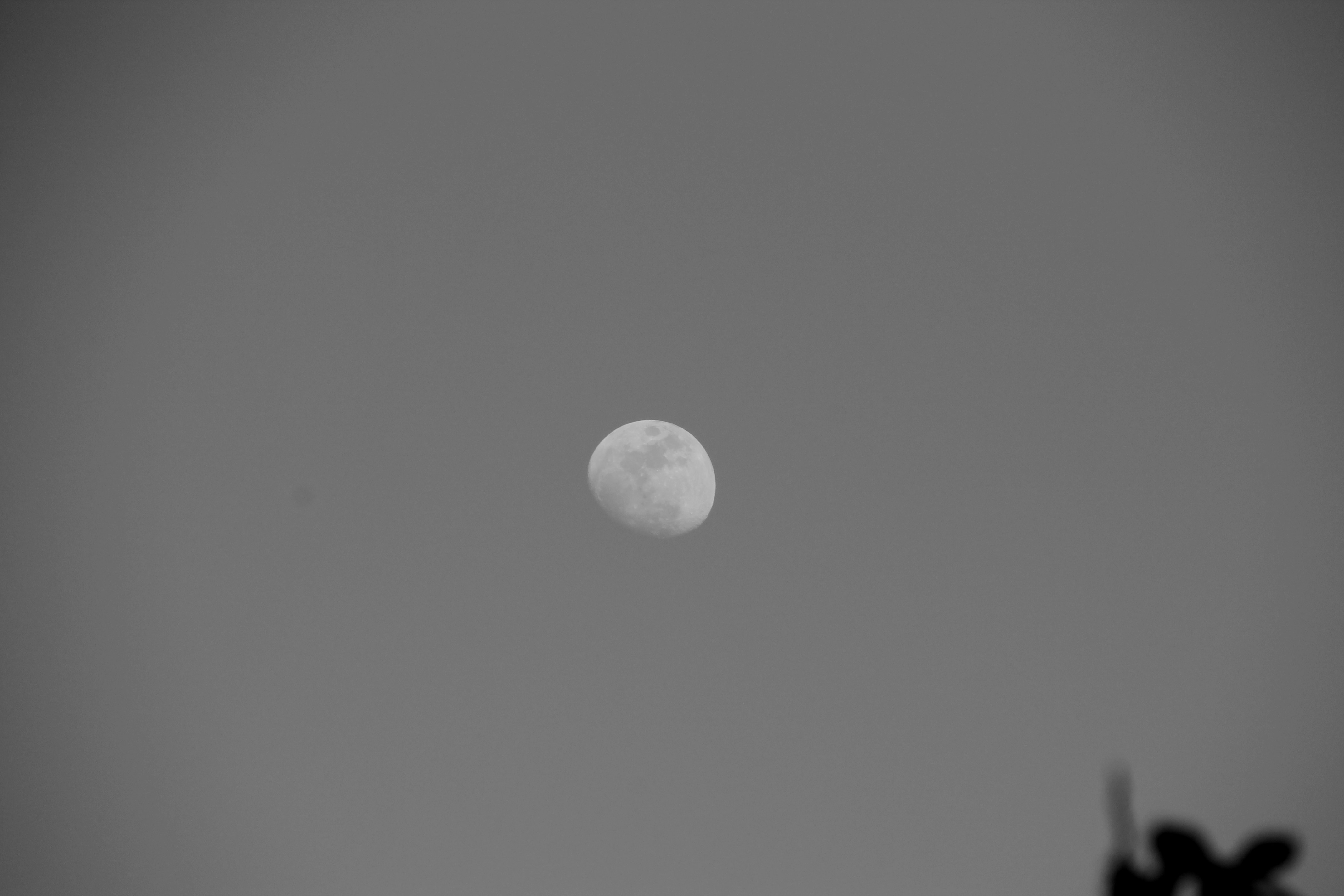 Free Unsplash photo from Loredana Grünling