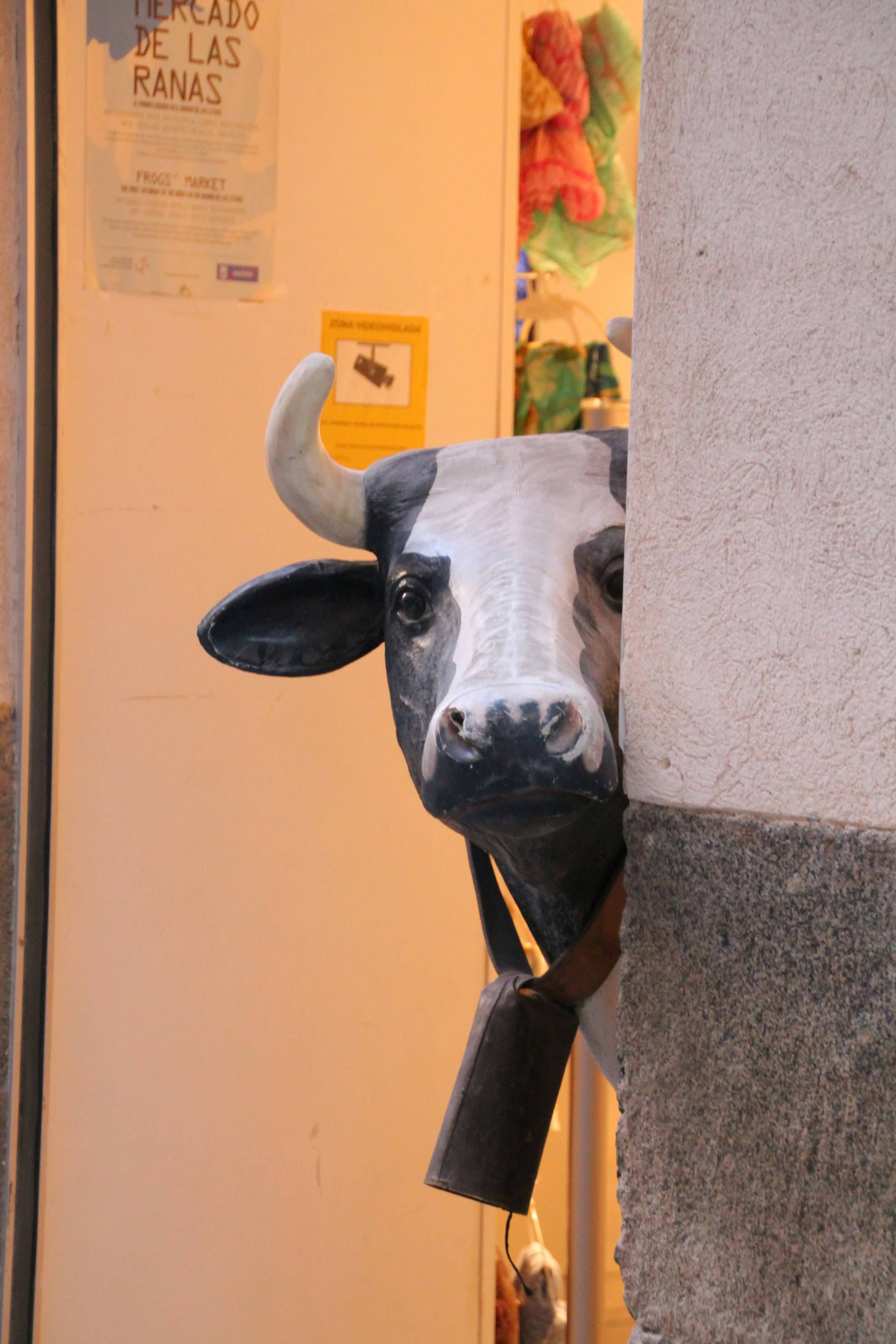 Free Unsplash photo from Loredana Grünling