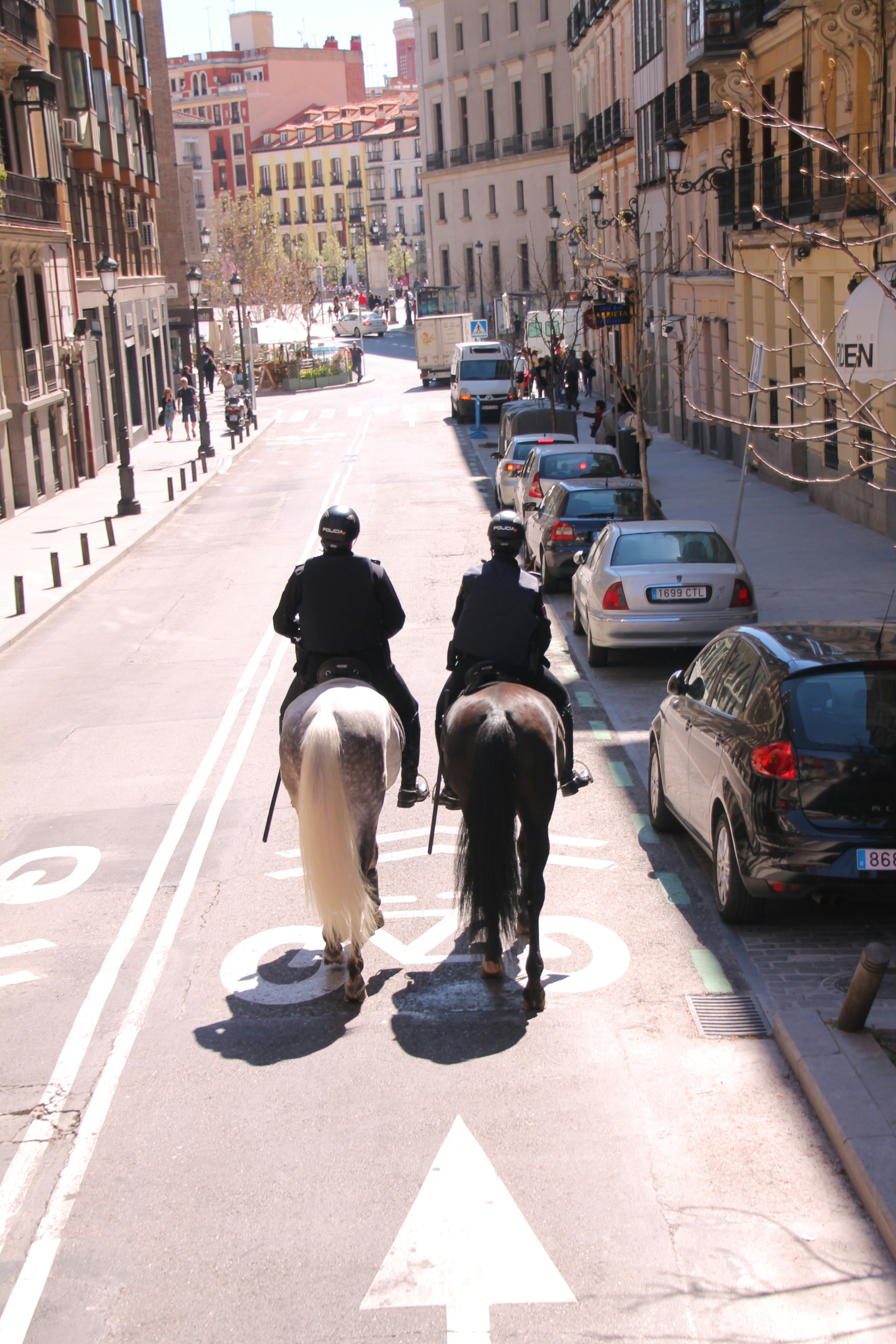 Free Unsplash photo from Loredana Grünling