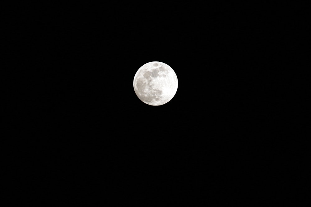 foto di luna piena