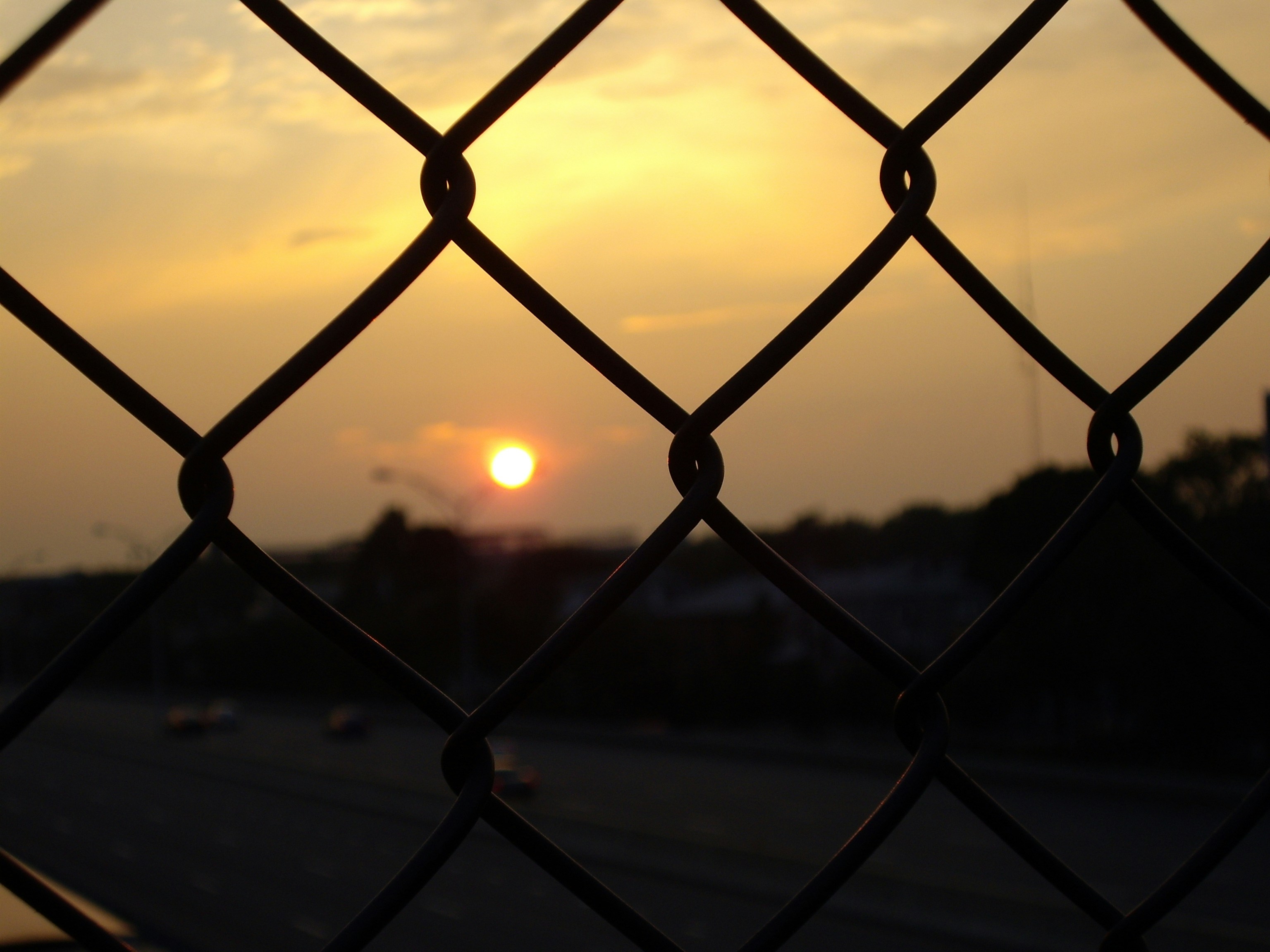 Free Unsplash photo from Torpedo  Frank