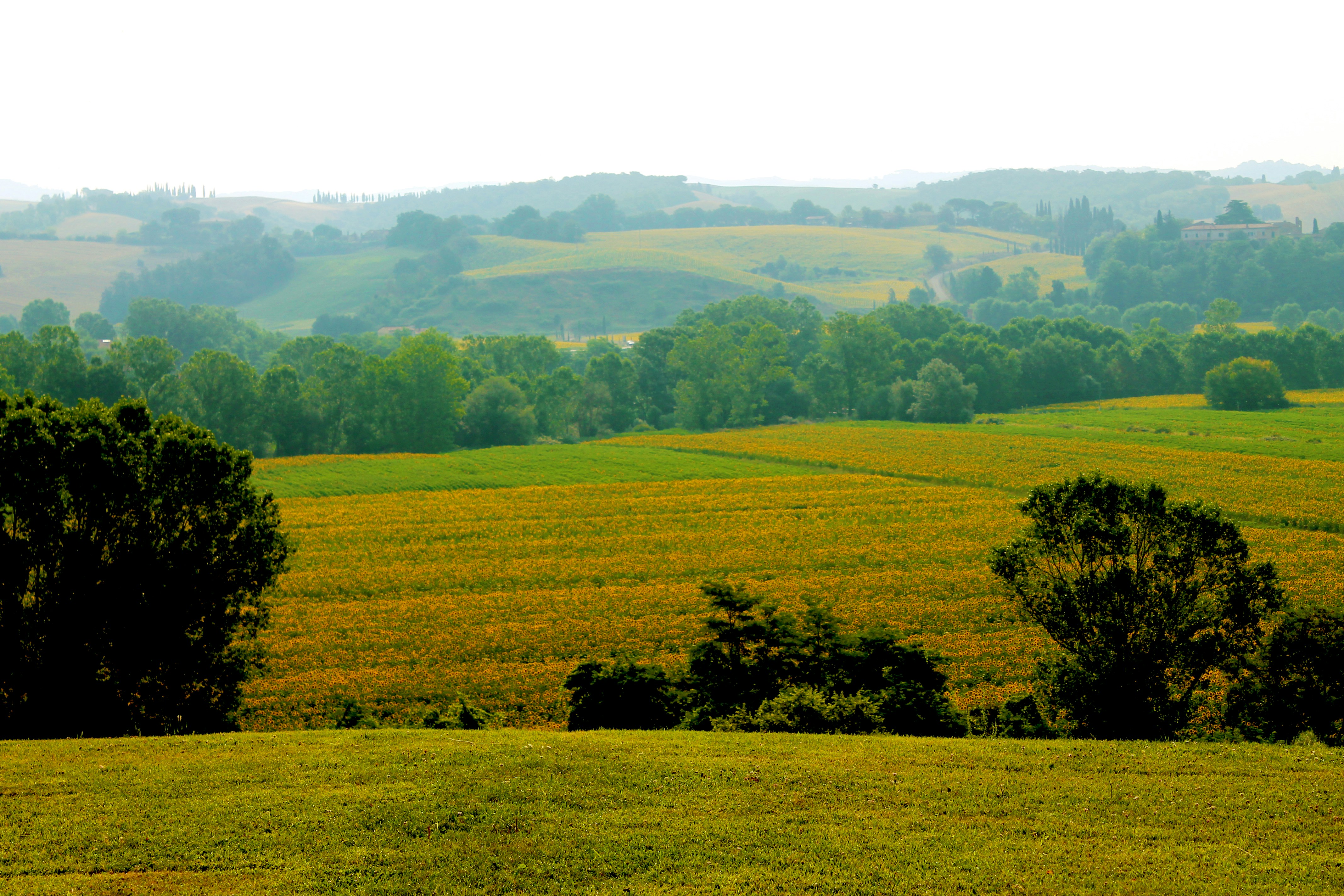 Free Unsplash photo from Alberto  Priore