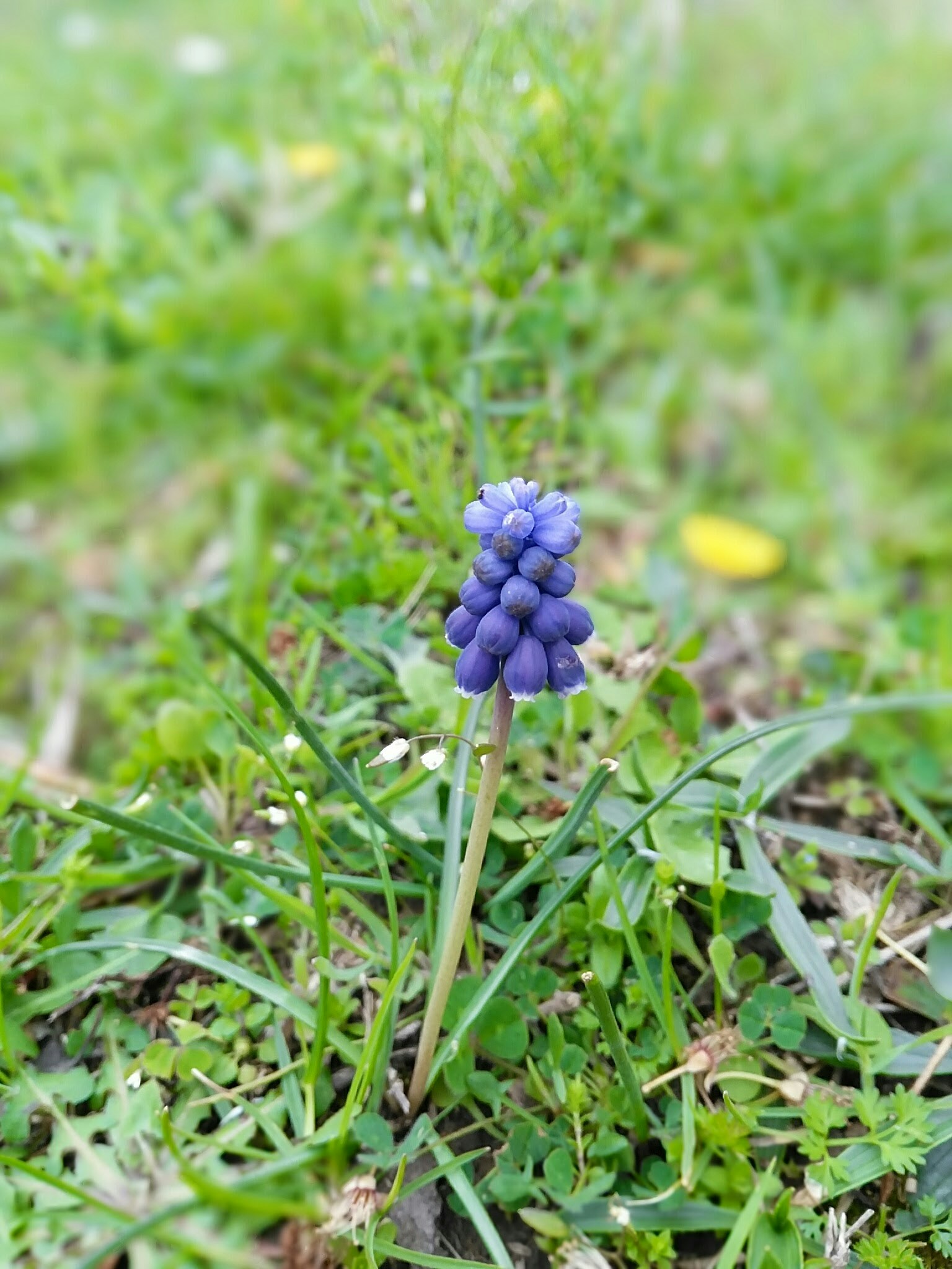 Free Unsplash photo from Samet Güleş