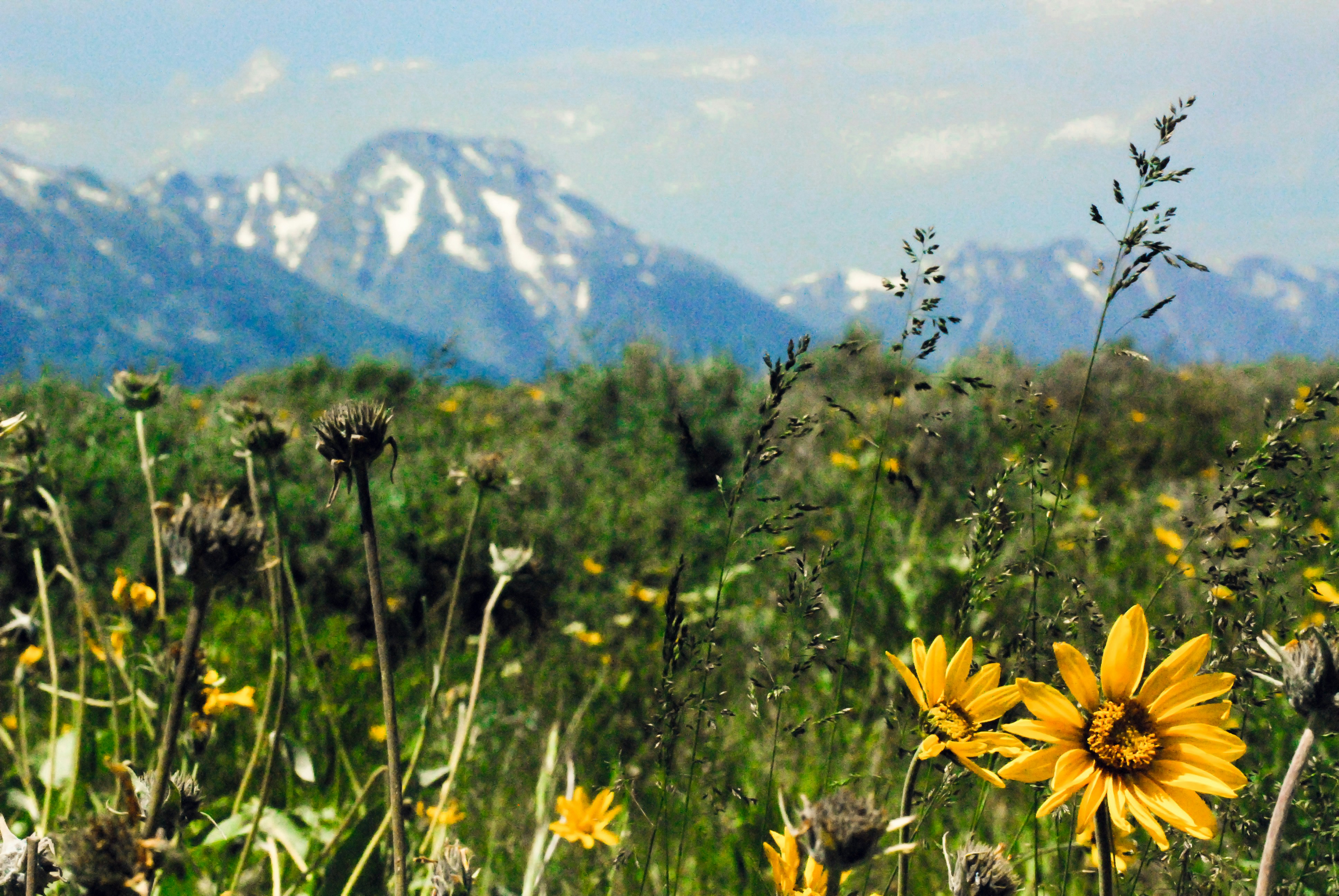 Free Unsplash photo from Kristen Porter