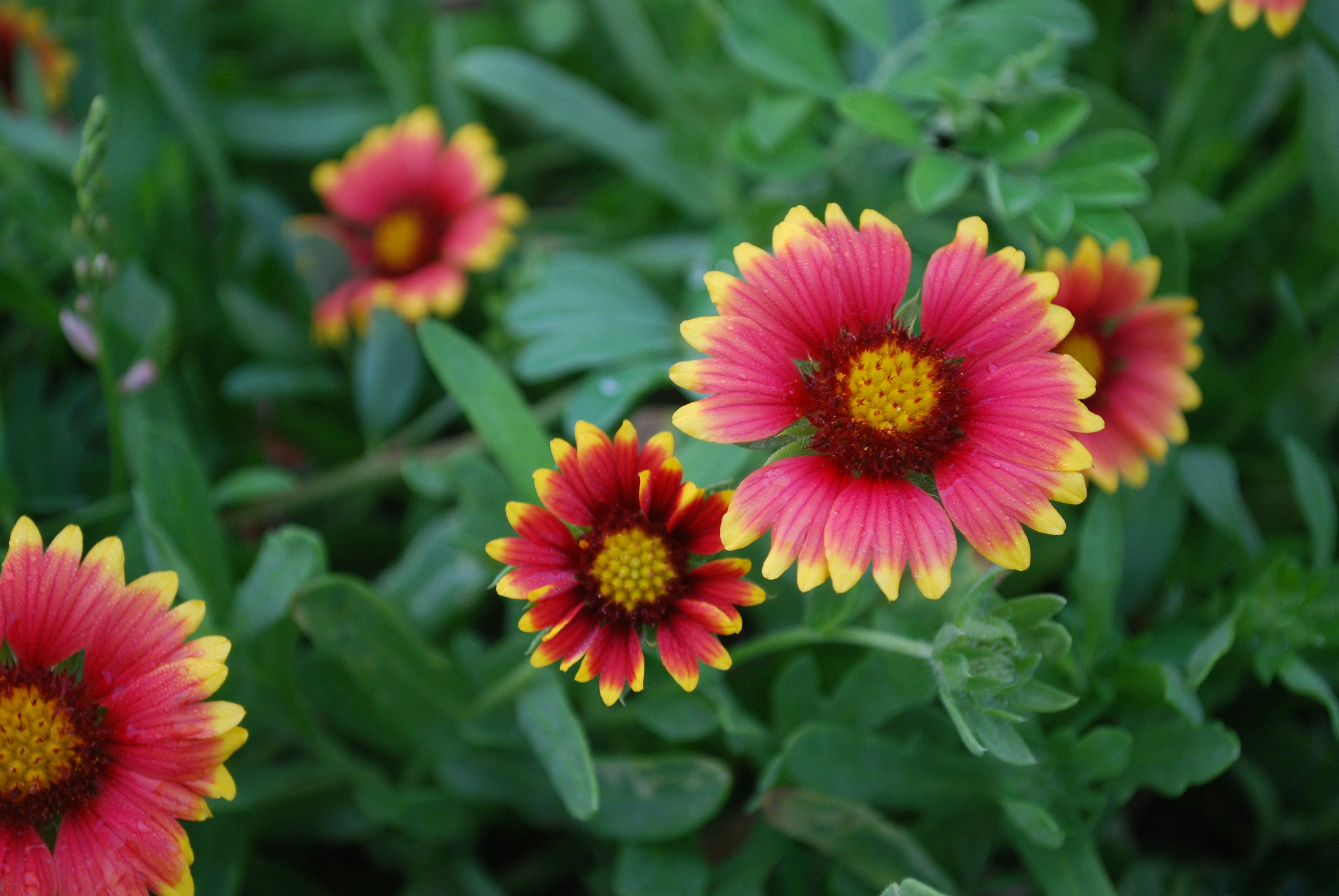 Free Unsplash photo from Kristen Porter