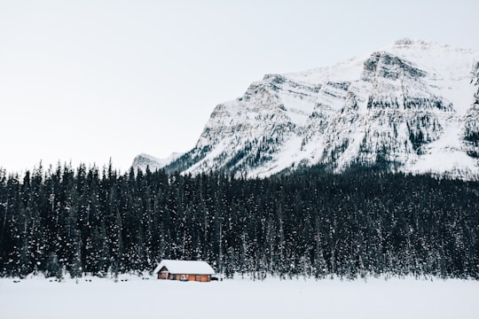snow-covered cabin near forest in Lake Louise Ski Resort Canada